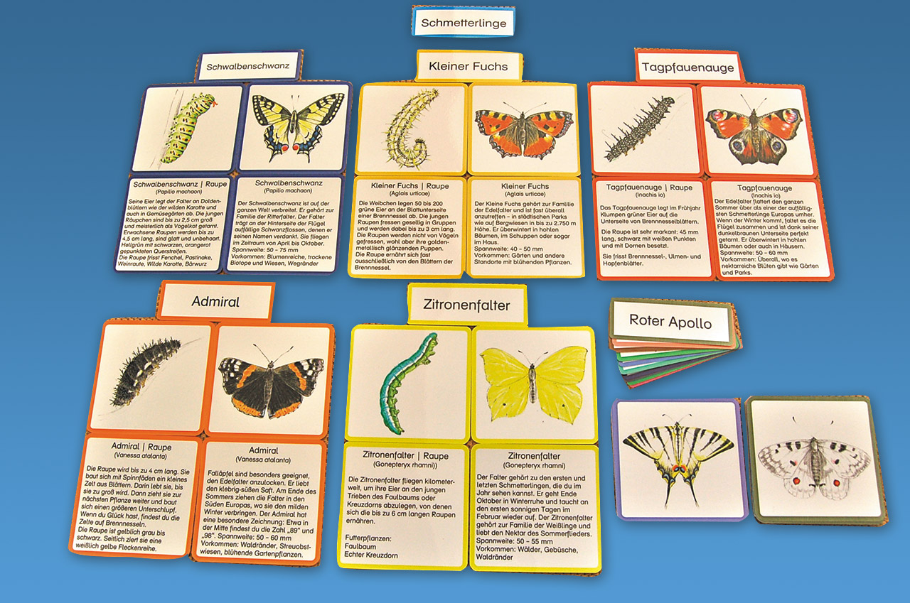 Schmetterlinge Legekarten
